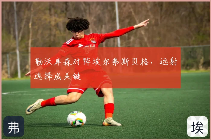 勒沃库森对阵埃尔弗斯贝格，远射选择成关键